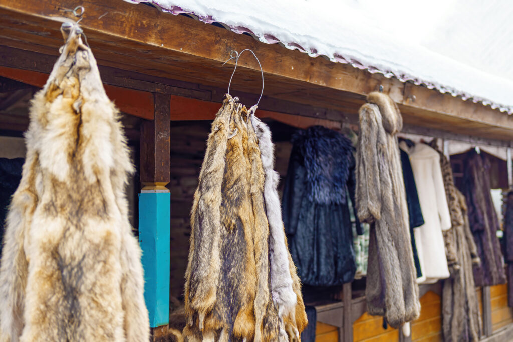 Mehrere Tierfelle hängen an Haken unter einem Dach und veranschaulichen die Nutzung von Tierpelzen.